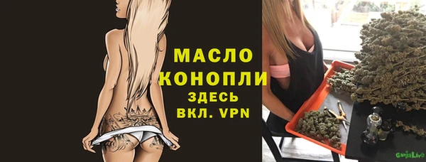 индика Балабаново