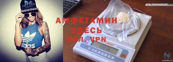 индика Балабаново