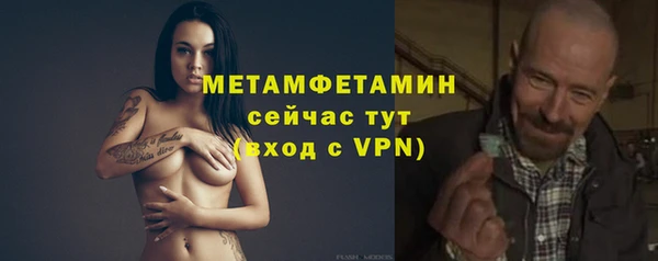 индика Балабаново