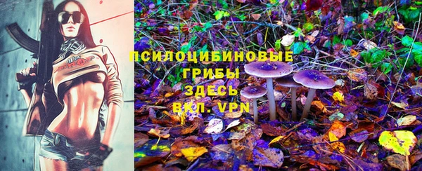 не бодяженный Балахна
