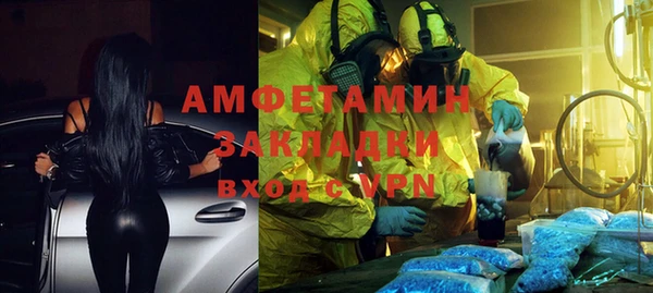 индика Балабаново