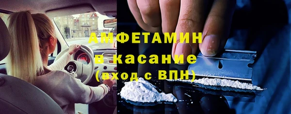 индика Балабаново
